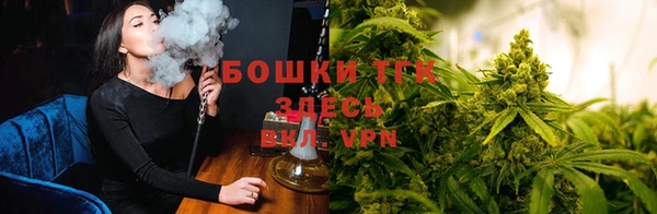 стафф Абинск