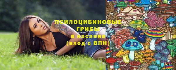 стафф Абинск