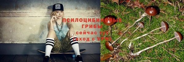 стафф Абинск