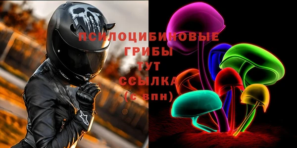 прущая мука Абаза